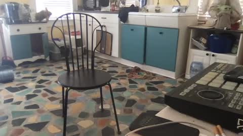 mdman32 online show from 02/28/25, 03:15