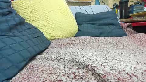 Verbal Daddy online show from 09/23/25, 04:37