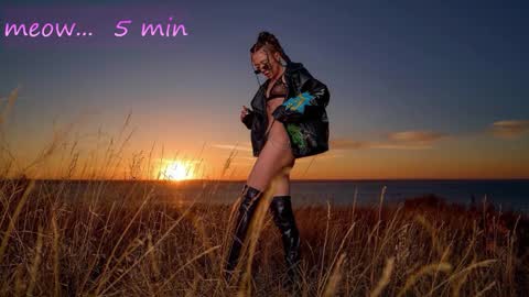 Sweet Meow nonude online show from 10/31/25, 12:55