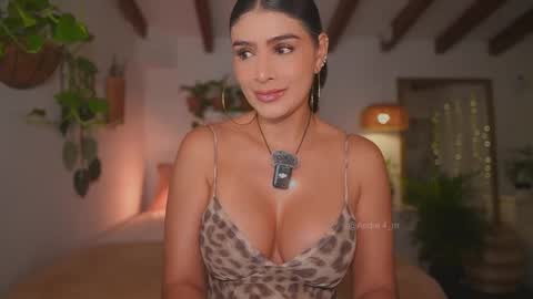 Snapshot of meegan1 chatting on 11/15/25, 12:13 Andrea online show from 11/15/25, 12:13