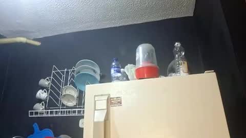 Megan and sophi online show from 11/05/25, 03:39