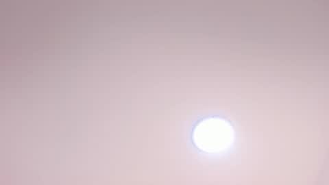 Carolina Paez online show from 12/10/24, 10:58