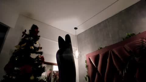    online show from 12/08/24, 03:53