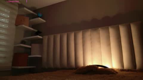     online show from 11/14/25, 12:04