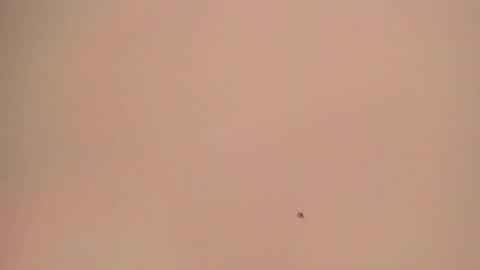 Snapshot of melanie__evans chatting on 05/05/26, 10:56 melanie__evans online show from 05/05/26, 10:56
