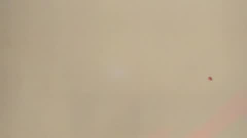 Snapshot of melanie__evans chatting on 05/12/26, 10:56 melanie__evans online show from 05/12/26, 10:56