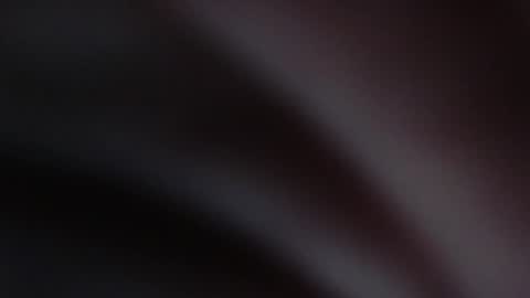 Snapshot of melefesenta chatting on 01/03/25, 08:32 Erica online show from 01/03/25, 08:32