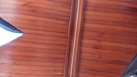 Melissa  Everyday From 1430 to 2130 Col Time online show from 12/13/25, 07:40