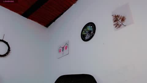 Snapshot of melissa_and_carol chatting on 01/21/25, 02:22 Carol - Dany online show from 01/21/25, 02:22
