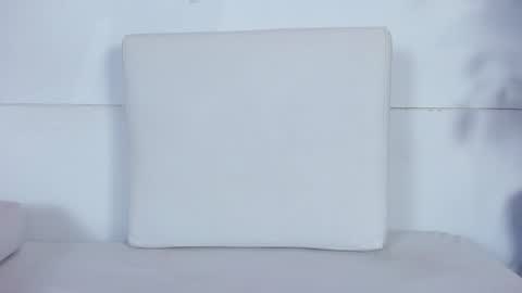 Melissa online show from 01/20/25, 11:54