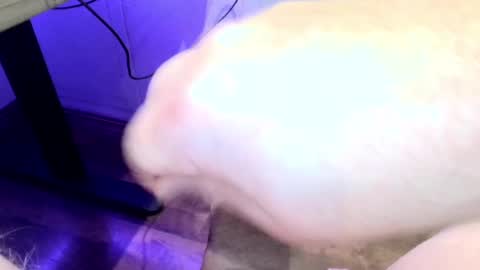 mellomike online show from 09/22/25, 06:32