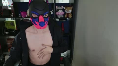 MellPUP online show from 04/02/26, 05:21