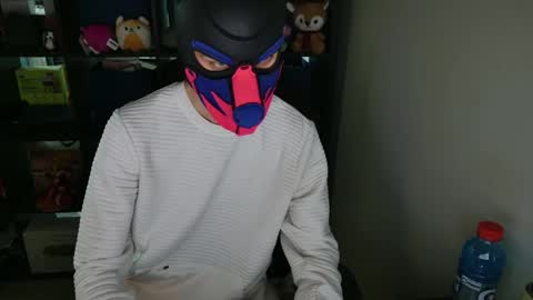 MellPUP online show from 04/05/26, 01:14
