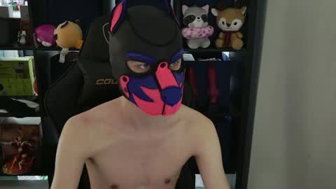 MellPUP online show from 04/09/26, 09:31