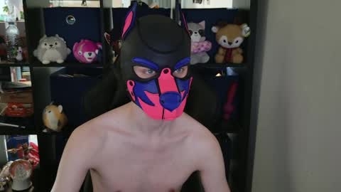 MellPUP online show from 04/29/26, 06:36