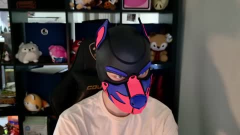 MellPUP online show from 06/11/26, 06:28