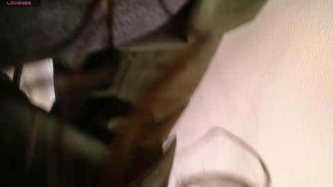 Melodi online show from 06/23/26, 12:58