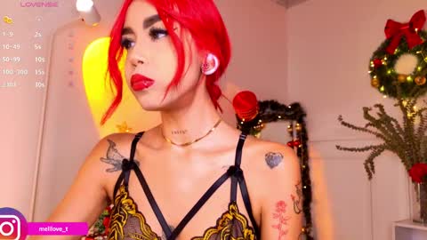 Melissa online show from 12/20/24, 03:14