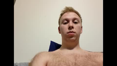 meow732 online show from 10/15/25, 12:33