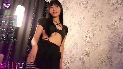 meowkami online show from 06/11/26, 11:58