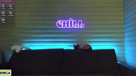  NIKKY  STIVE     Every day from 1000  to 200  EST time. online show from 01/06/25, 05:08