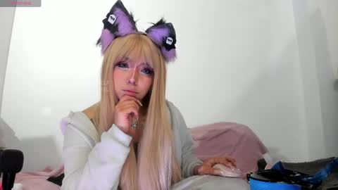 meowmelf online show from 05/27/26, 10:29