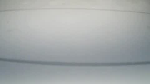 meowmeowmoney online show from 09/22/25, 09:44