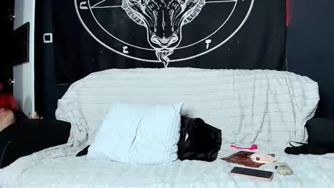 Snapshot of meowroslava chatting on 11/17/25, 10:32 meowroslava online show from 11/17/25, 10:32