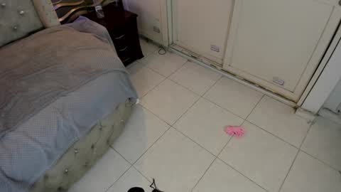 Snapshot of meraki_fraise chatting on 01/21/25, 01:08    online show from 01/21/25, 01:08