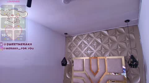 Snapshot of meraki_fraise chatting on 12/20/25, 03:02 online show from 12/20/25, 03:02