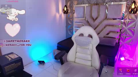 Snapshot of meraki_fraise chatting on 01/09/26, 02:47 online show from 01/09/26, 02:47