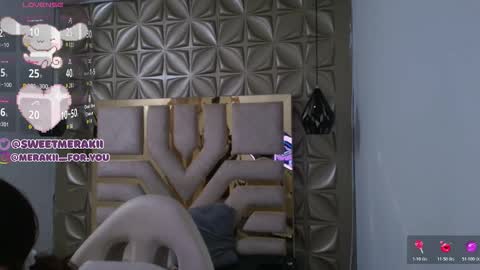 Snapshot of meraki_fraise chatting on 02/05/26, 02:49 online show from 02/05/26, 02:49