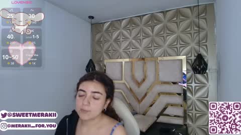 Snapshot of meraki_fraise chatting on 02/22/26, 03:07 online show from 02/22/26, 03:07