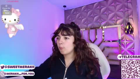 Snapshot of meraki_fraise chatting on 02/28/26, 02:45 online show from 02/28/26, 02:45