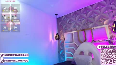 Snapshot of meraki_fraise chatting on 03/02/26, 03:20 online show from 03/02/26, 03:20