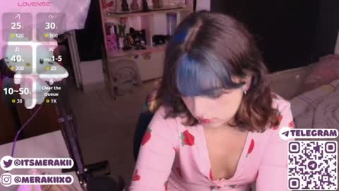 Snapshot of meraki_fraise chatting on 06/11/26, 12:08 online show from 06/11/26, 12:08
