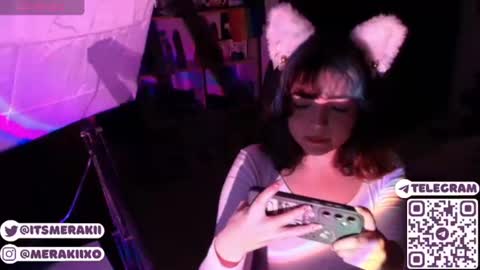 Snapshot of meraki_fraise chatting on 07/27/26, 09:11 online show from 07/27/26, 09:11