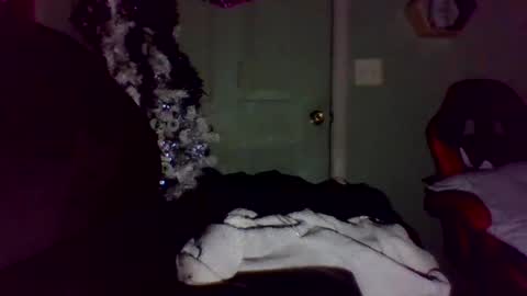 mezzy69 online show from 10/01/25, 08:31