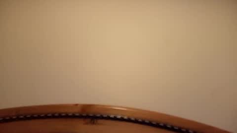 mhorny5 online show from 09/14/25, 08:41