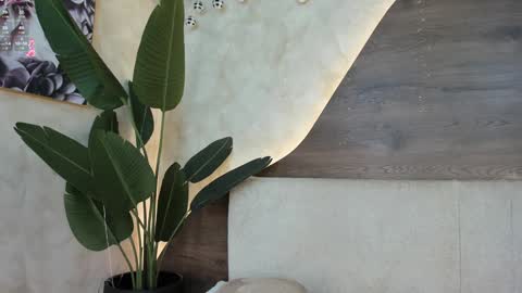 mia_lacy online show from 12/12/24, 10:31