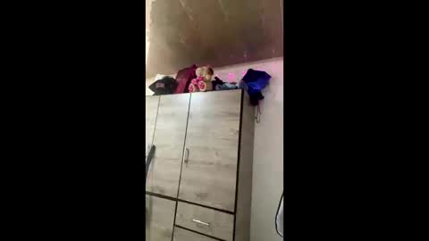       online show from 05/29/26, 07:45