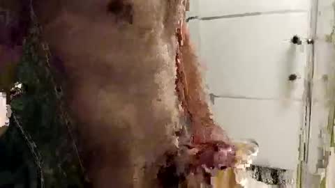 Snapshot of mickavis1975 chatting on 12/14/25, 05:40 mickavis1975 online show from 12/14/25, 05:40