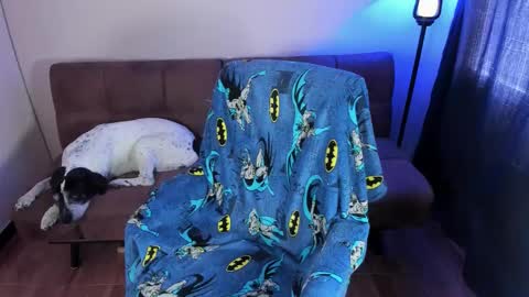 Blue online show from 09/19/25, 03:34