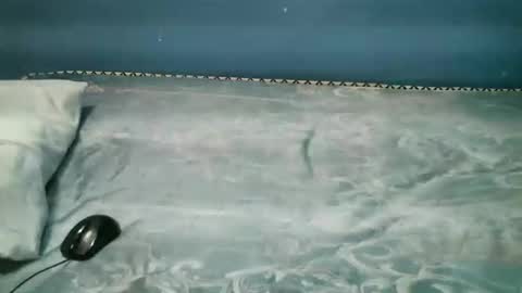 Snapshot of midnightkady chatting on 11/01/25, 08:00 Caddy online show from 11/01/25, 08:00