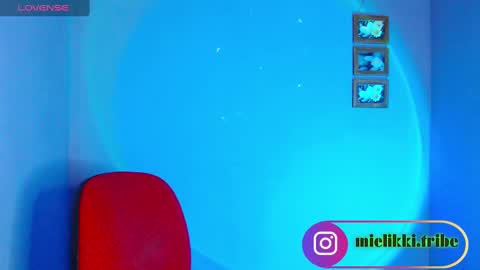 Snapshot of mielikki01 chatting on 12/21/24, 06:41 mielikki01 online show from 12/21/24, 06:41