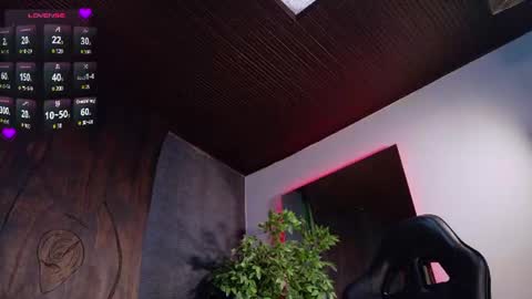 miia_sttone online show from 07/31/26, 04:50