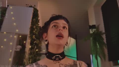 Snapshot of mika_moon_ chatting on 11/12/25, 04:18 mika_moon_ online show from 11/12/25, 04:18