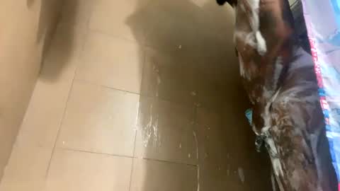 mikeyblunt online show from 02/25/25, 01:28