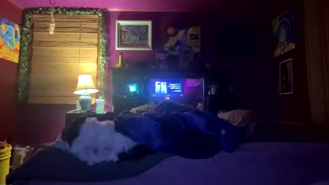 mil8207 online show from 12/17/25, 05:57