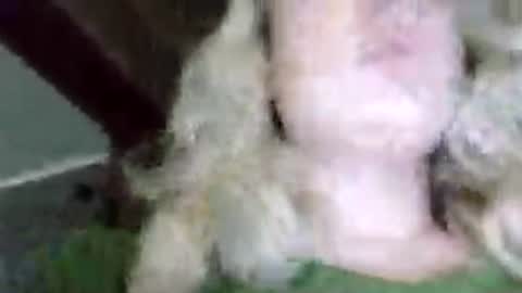 Mila 420 online show from 07/20/26, 03:25